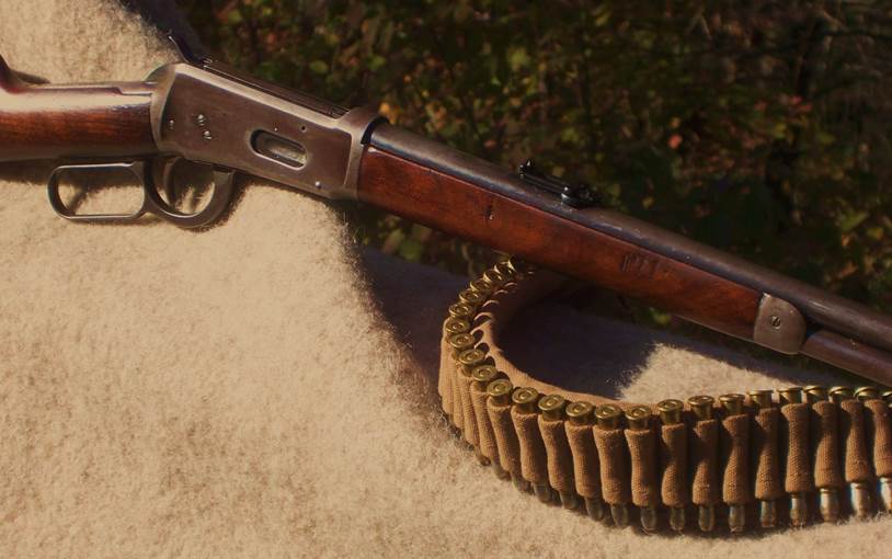 Win1894&ctgBelt